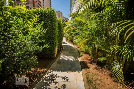 Apartamento para alugar com 68m², 1 quarto e 2 vagas Apartamento para alugar com 68m², 1 quarto e 2 vagasÁrea comum