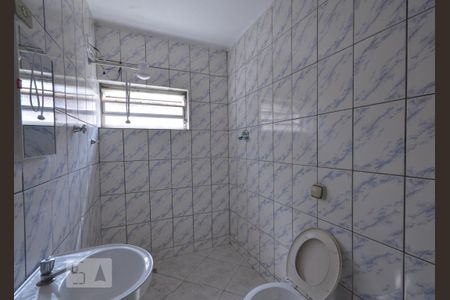 Banheiro Social de casa para alugar com 2 quartos, 100m² em Vila Brasilina, São Paulo
