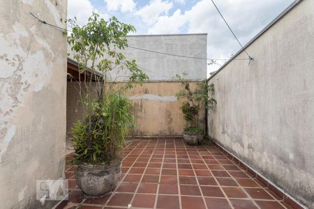 Casa para alugar com 320m², 4 quartos e 2 vagas Casa para alugar com 320m², 4 quartos e 2 vagasÁrea Externa - Quintal