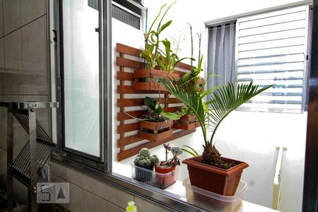 Casa à venda com 105m², 3 quartos e 1 vaga Casa à venda com 105m², 3 quartos e 1 vagaCozinha