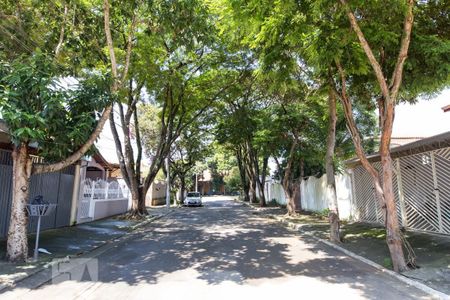 Studio para alugar com 34m², 1 quarto e sem vagaRua