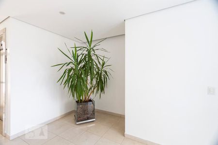 Apartamento para alugar com 60m², 2 quartos e 1 vagaHall social