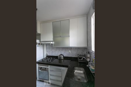 Cozinha de apartamento para alugar com 3 quartos, 100m² em Santo Antônio, Belo Horizonte
