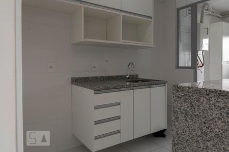 Cozinha de apartamento para alugar com 2 quartos, 50m² em Vila Santa Catarina, São Paulo