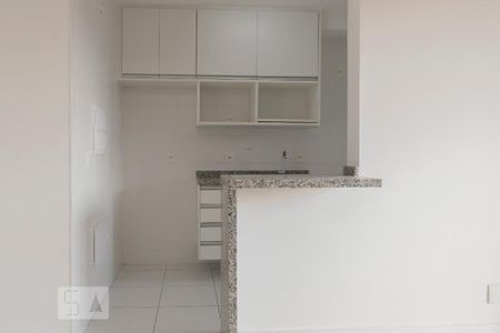 Cozinha de apartamento para alugar com 2 quartos, 50m² em Vila Santa Catarina, São Paulo