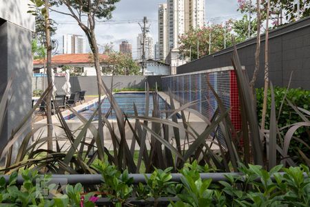 Área comum - Piscina de apartamento para alugar com 2 quartos, 50m² em Vila Santa Catarina, São Paulo