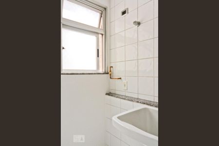 Área de Serviço de apartamento para alugar com 2 quartos, 55m² em Carandiru, São Paulo