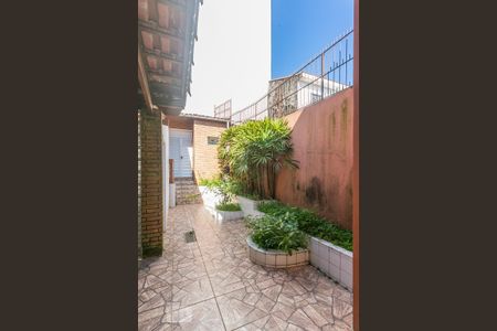 Casa para alugar com 200m², 5 quartos e 2 vagasQuintal