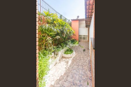 Casa para alugar com 200m², 5 quartos e 2 vagasQuintal