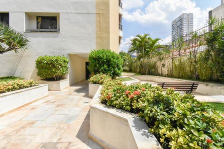 Apartamento para alugar com 50m², 1 quarto e 1 vaga Apartamento para alugar com 50m², 1 quarto e 1 vagaJardim