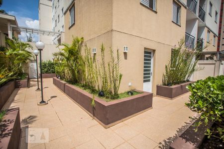 Área comum de apartamento para alugar com 3 quartos, 61m² em Vila Santa Catarina, São Paulo