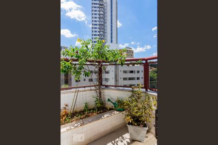 Varanda de apartamento à venda com 4 quartos, 330m² em Santo Antônio, Belo Horizonte