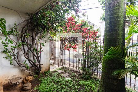 Casa à venda com 281m², 3 quartos e 4 vagasJardim