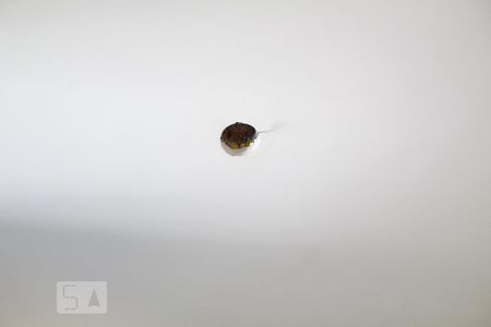 Apartamento à venda com 62m², 2 quartos e 1 vagaDetalhe do Quarto 2