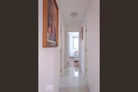 Corredor de apartamento à venda com 3 quartos, 64m² em Vila Moreira, São Paulo