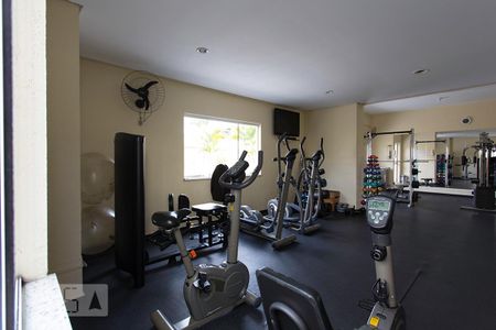 Área comum - Academia de apartamento para alugar com 2 quartos, 70m² em Jardim Ivana, São Paulo