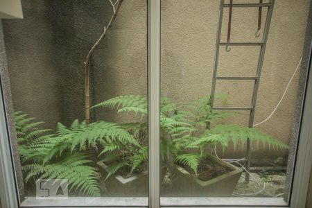 Jardim de Inverno de casa à venda com 3 quartos, 300m² em Vila da Saúde, São Paulo