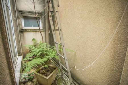 Jardim de Inverno de casa à venda com 3 quartos, 300m² em Vila da Saúde, São Paulo