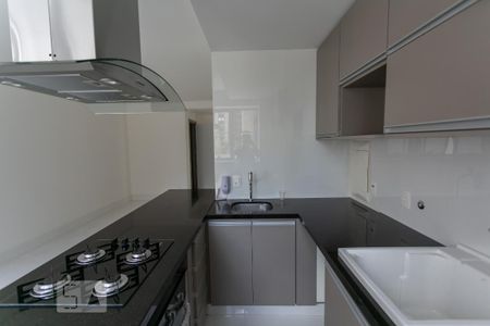 Cozinha de apartamento para alugar com 2 quartos, 72m² em Funcionários, Belo Horizonte