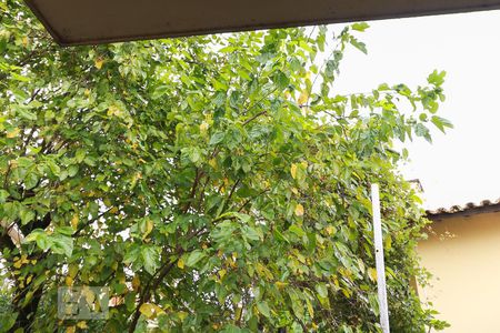 Casa para alugar com 477m², 4 quartos e 6 vagasVista da Suíte 3