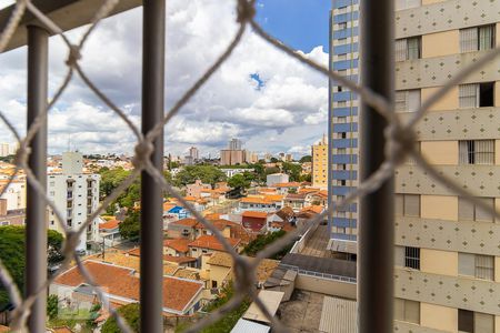 Apartamento à venda com 116m², 3 quartos e 1 vagaVista do quarto 1