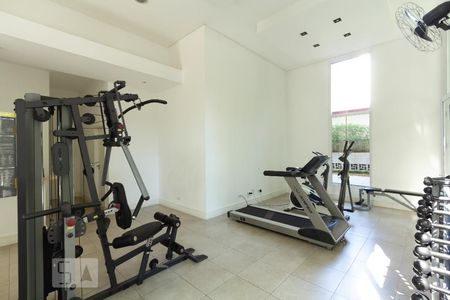 Apartamento para alugar com 134m², 3 quartos e 1 vaga Apartamento para alugar com 134m², 3 quartos e 1 vagaÁrea comum - Academia