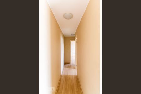 Corredor de apartamento para alugar com 2 quartos, 45m² em Vila Venditti, Guarulhos