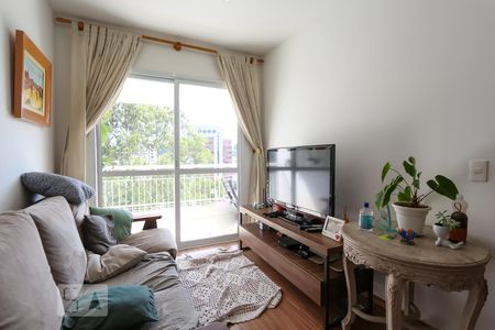 Sala de apartamento à venda com 3 quartos, 76m² em Vila Suzana, São Paulo