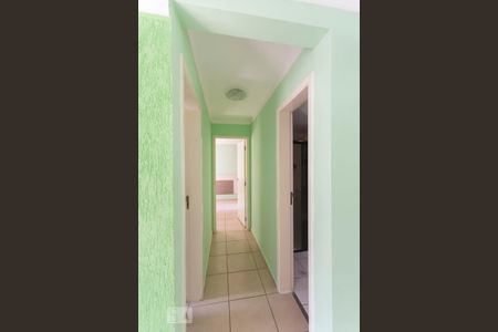 Corredor de apartamento para alugar com 2 quartos, 55m² em Jardim Nova Europa, Campinas