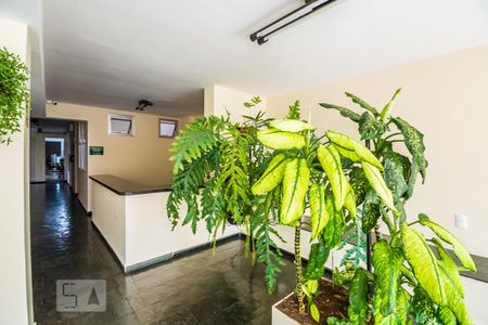 Studio para alugar com 39m², 1 quarto e sem vagaHall de Entrada