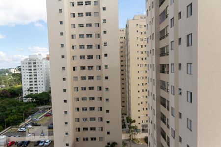Apartamento para alugar com 56m², 2 quartos e 1 vaga Apartamento para alugar com 56m², 2 quartos e 1 vagaQuarto 1 - vista