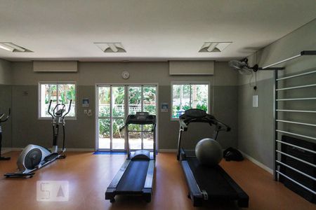 Apartamento para alugar com 49m², 2 quartos e 1 vaga Apartamento para alugar com 49m², 2 quartos e 1 vagaAcademia