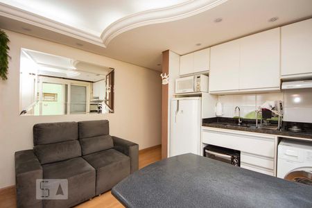 Sala / Cozinha / Lavanderia  de kitnet/studio à venda com 1 quarto, 30m² em Vila Ipiranga, Porto Alegre