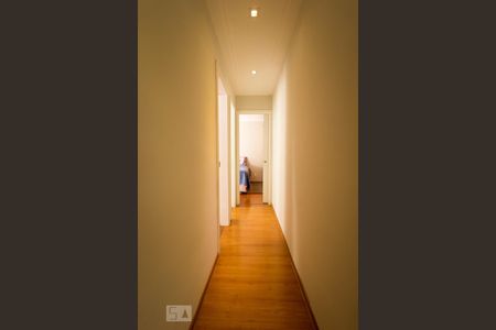 Corredor de apartamento à venda com 2 quartos, 50m² em Vila Prudente, São Paulo