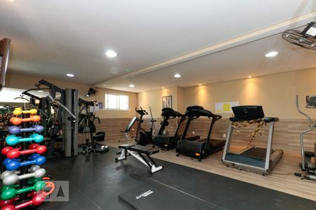 Apartamento para alugar com 68m², 2 quartos e 1 vaga Apartamento para alugar com 68m², 2 quartos e 1 vagaAcademia