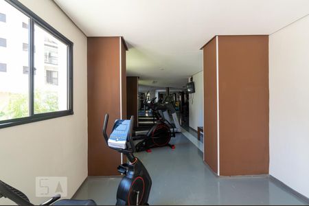 Apartamento para alugar com 50m², 2 quartos e 1 vaga Apartamento para alugar com 50m², 2 quartos e 1 vagaÁrea comum - Academia