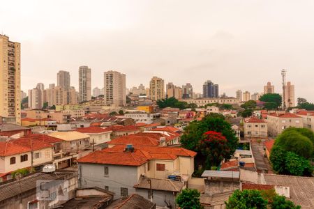 Vista da Sala e Quarto 1 de apartamento para alugar com 2 quartos, 40m² em Santana, São Paulo