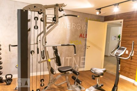 Apartamento para alugar com 40m², 2 quartos e sem vaga Apartamento para alugar com 40m², 2 quartos e sem vagaÁrea comum - Academia