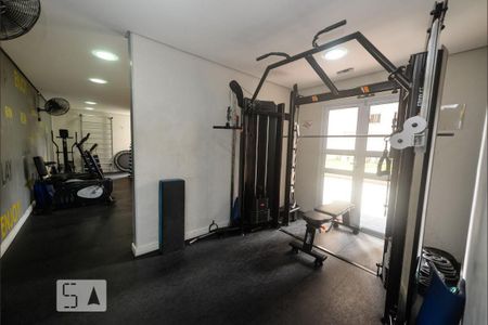 Apartamento para alugar com 58m², 2 quartos e 1 vaga Apartamento para alugar com 58m², 2 quartos e 1 vagaÁrea comum - Academia