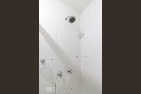 Apartamento à venda com 52m², 2 quartos e 1 vagaBanheiro social - chuveiro
