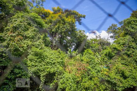 Apartamento à venda com 50m², 2 quartos e 1 vaga Apartamento à venda com 50m², 2 quartos e 1 vagaVista do Quarto 2