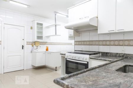 Apartamento para alugar com 219m², 4 quartos e 3 vagas Apartamento para alugar com 219m², 4 quartos e 3 vagasCozinha