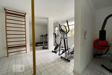 Apartamento para alugar com 403m², 3 quartos e 2 vagasÁrea comum - Academia