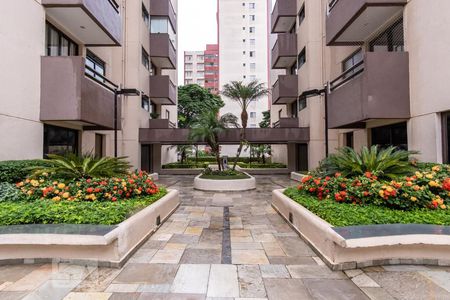 Apartamento para alugar com 60m², 3 quartos e 1 vagaÁrea comum