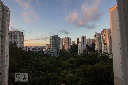 Varanda - Vista de apartamento para alugar com 3 quartos, 67m² em Vila Andrade, São Paulo