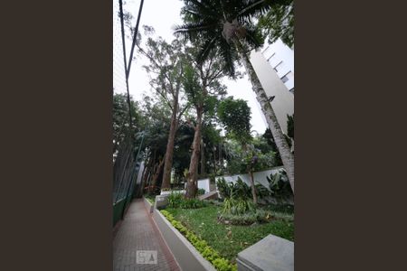 Apartamento para alugar com 81m², 3 quartos e 1 vagaÁrea Comum