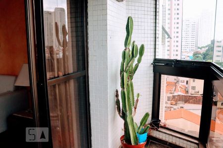 Apartamento para alugar com 230m², 4 quartos e 3 vagasVaranda