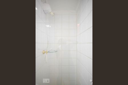 Apartamento para alugar com 74m², 2 quartos e 1 vaga Apartamento para alugar com 74m², 2 quartos e 1 vagaChuveiro do banheiro