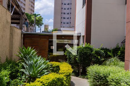 Apartamento à venda com 56m², 2 quartos e 1 vagaÁrea comum
