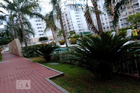 Área comum - Piscina de apartamento para alugar com 2 quartos, 50m² em Anil, Rio de Janeiro